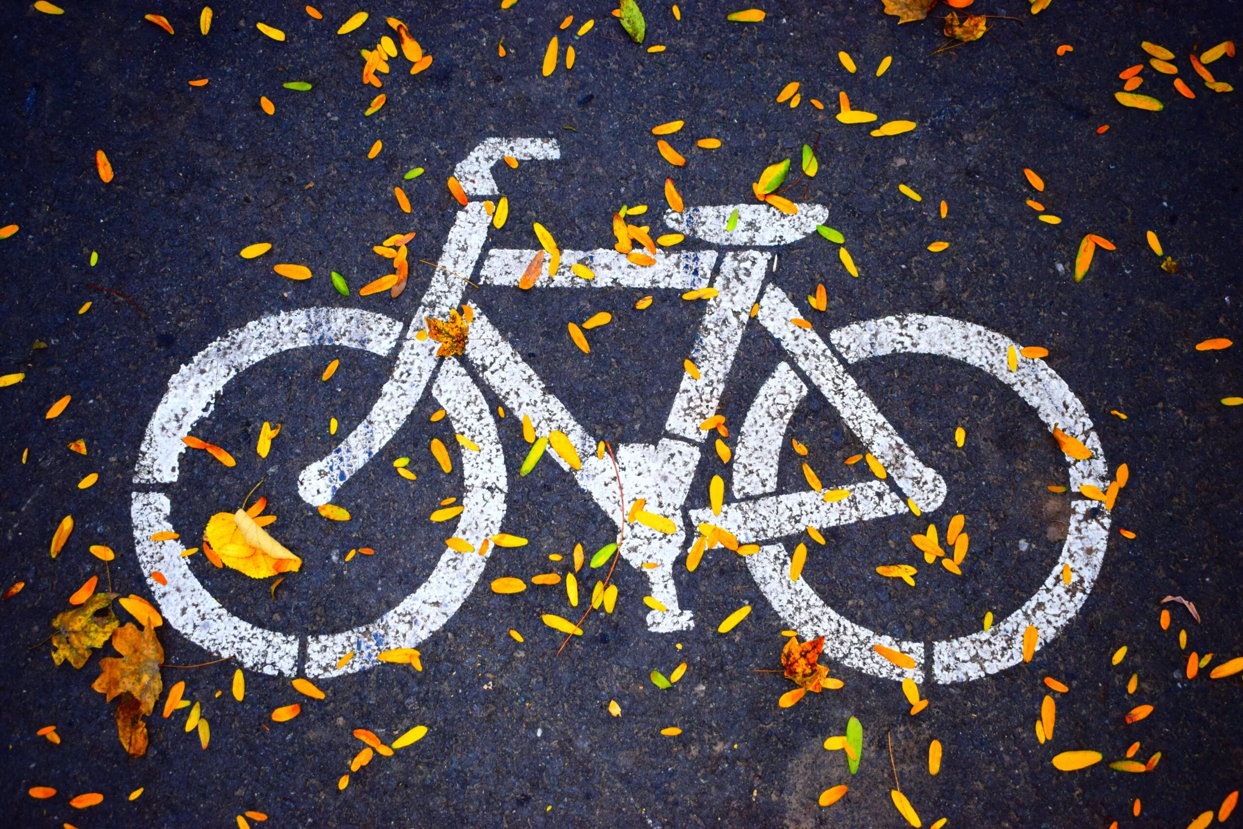 How Bicycles Help Decarbonization Efforts