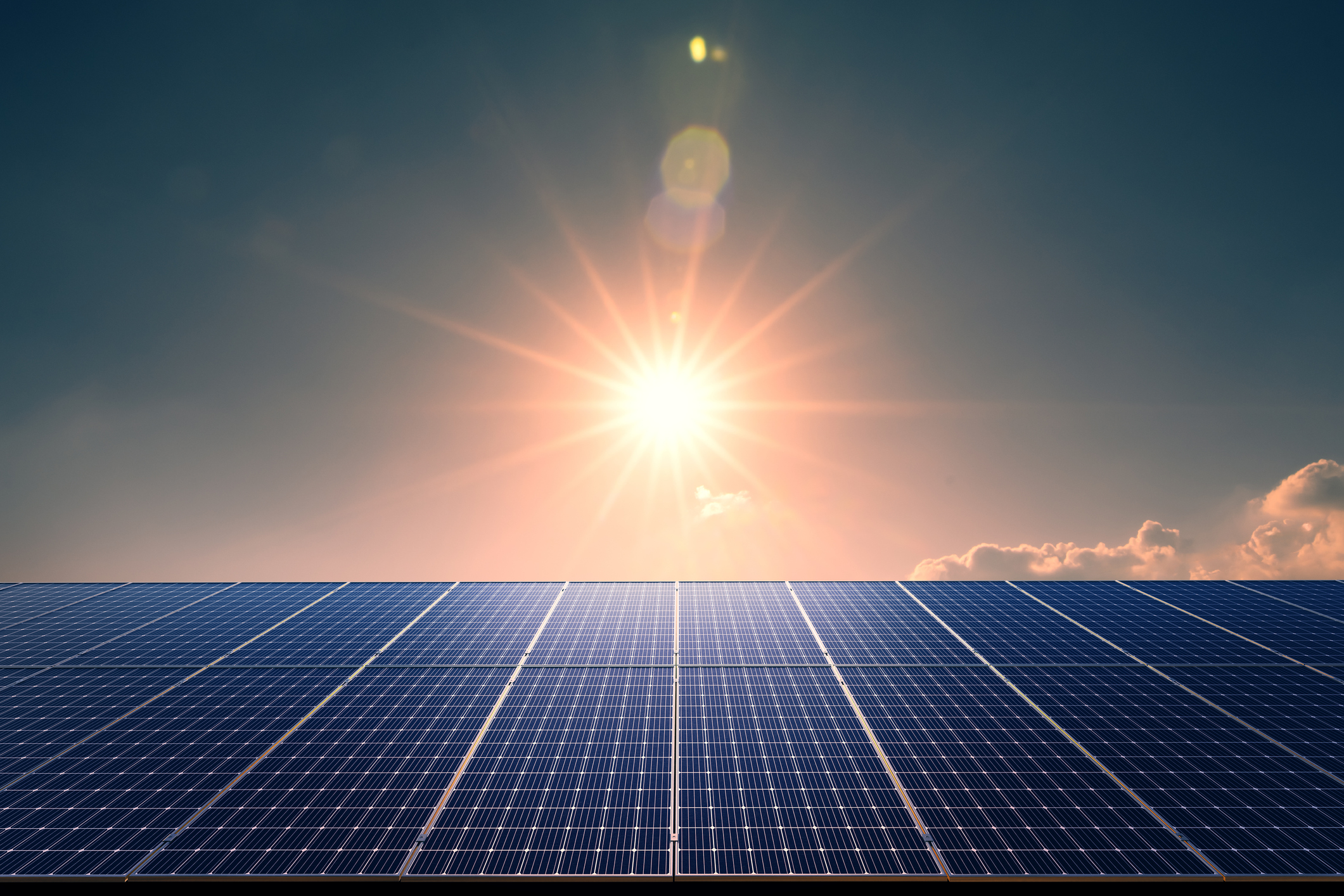 Happy Sun Day! Celebrating the Benefits of Renewable Energy